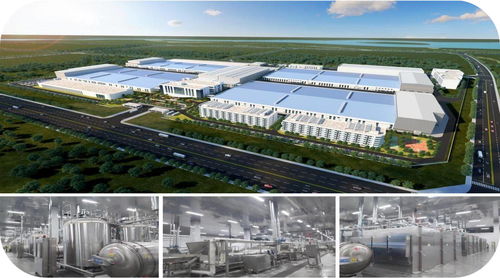 济宁市2023年绿色低碳高质量发展现场观摩会聚焦无穷食品泗水基地及项城网站建设