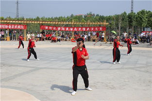 项城市鞭陀协会成立与项城网站建设